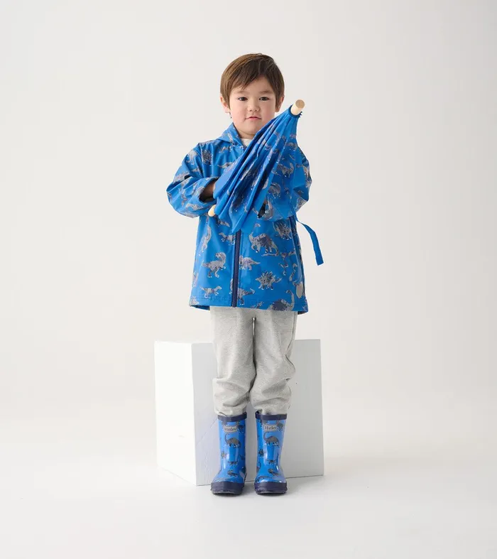 Boys Dinosaur Shiny Rain Boots Hatley