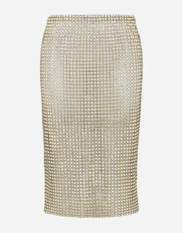 Dolce and Gabbana Skirts Women Tulle Calflength Skirt With Allover Fusible Rhinestone Embellishment Crystal Dolce and Gabbana Skirts Women Tulle Calflength Skirt With Allover Fusible Rhinestone Embellishment Crystal