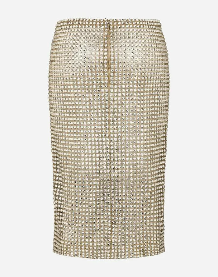 Dolce and Gabbana Skirts Women Tulle Calflength Skirt With Allover Fusible Rhinestone Embellishment Crystal Dolce and Gabbana Skirts Women Tulle Calflength Skirt With Allover Fusible Rhinestone Embellishment Crystal
