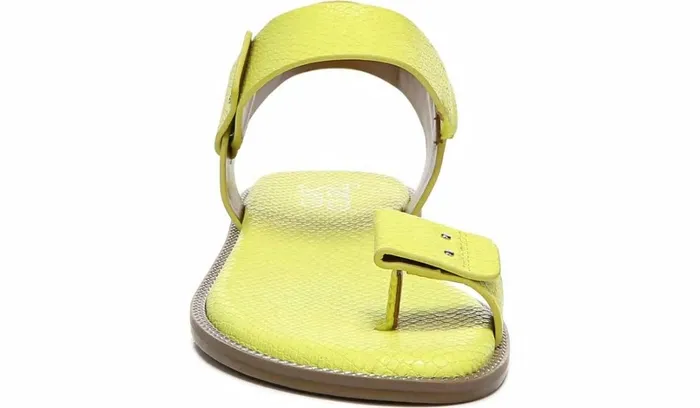 Flat Sandals Women Franco Sarto Franco Geranio Sandal Limeade Snake Faux Leather