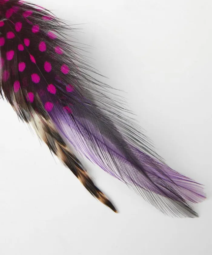 Joe Browns Accessories and Jewellery Men Vibrant Feather Pin Multi Joe Browns Accessories and Jewellery Men Vibrant Feather Pin Multi