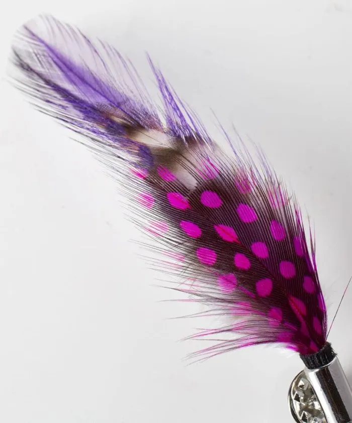 Joe Browns Accessories and Jewellery Men Vibrant Feather Pin Multi Joe Browns Accessories and Jewellery Men Vibrant Feather Pin Multi