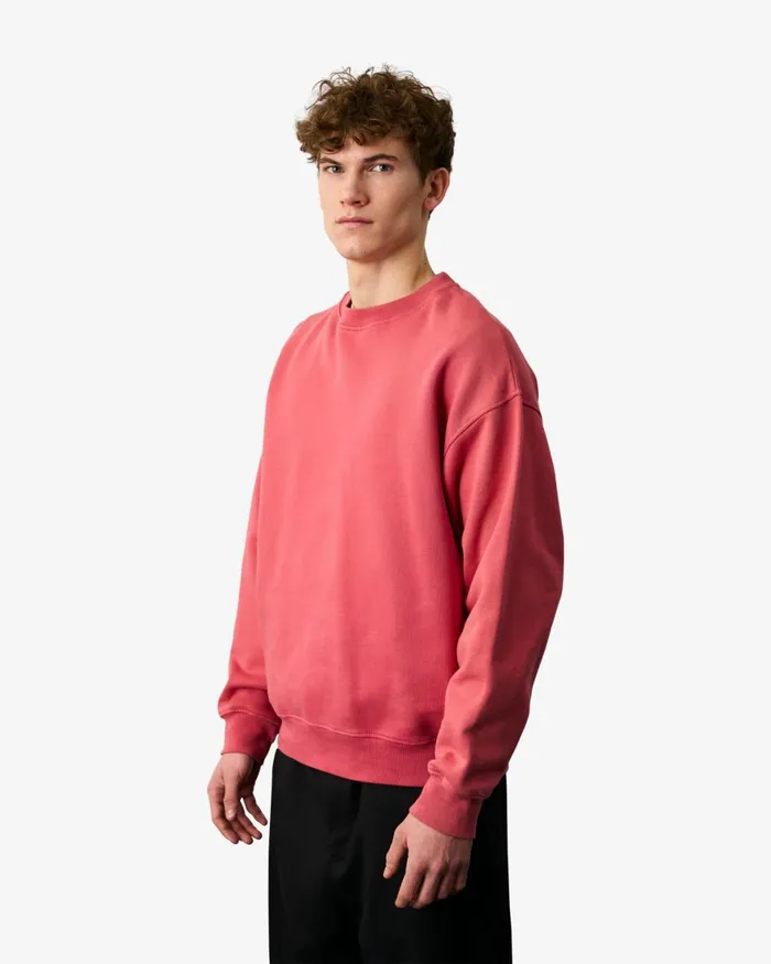Men Crewneck Sweatshirts Colorful Standard Organic Oversized Crew Faded Grey