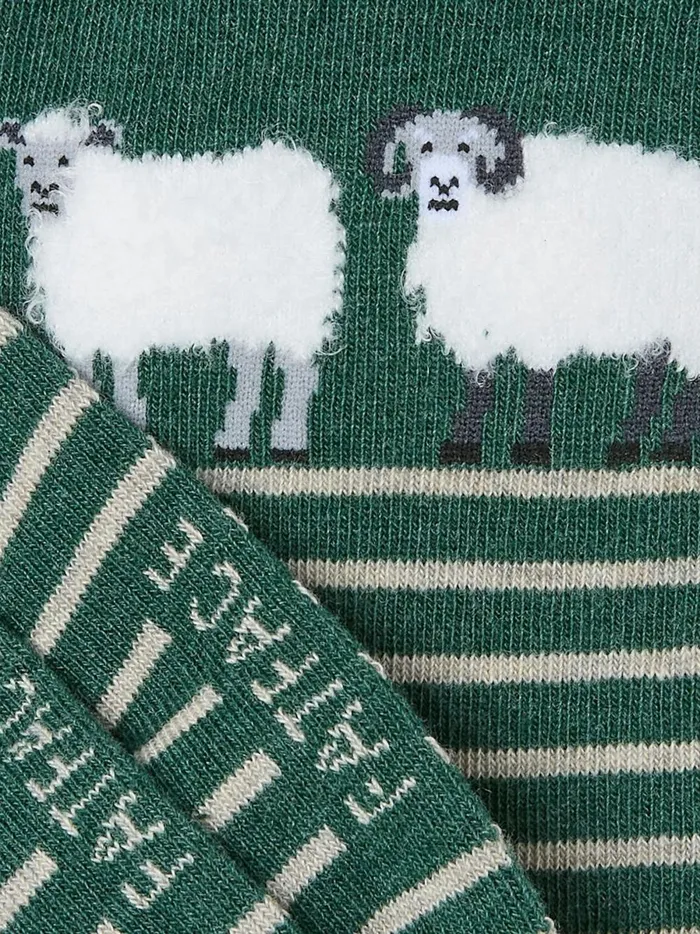 Men Socks Fat Face Green Sheep Socks 1 Pack