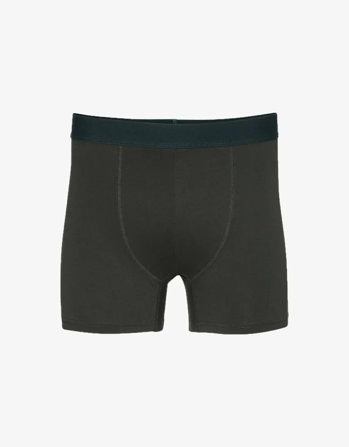 Men Underwear Colorful Standard Classic Organic Boxer Briefs Hunter Green