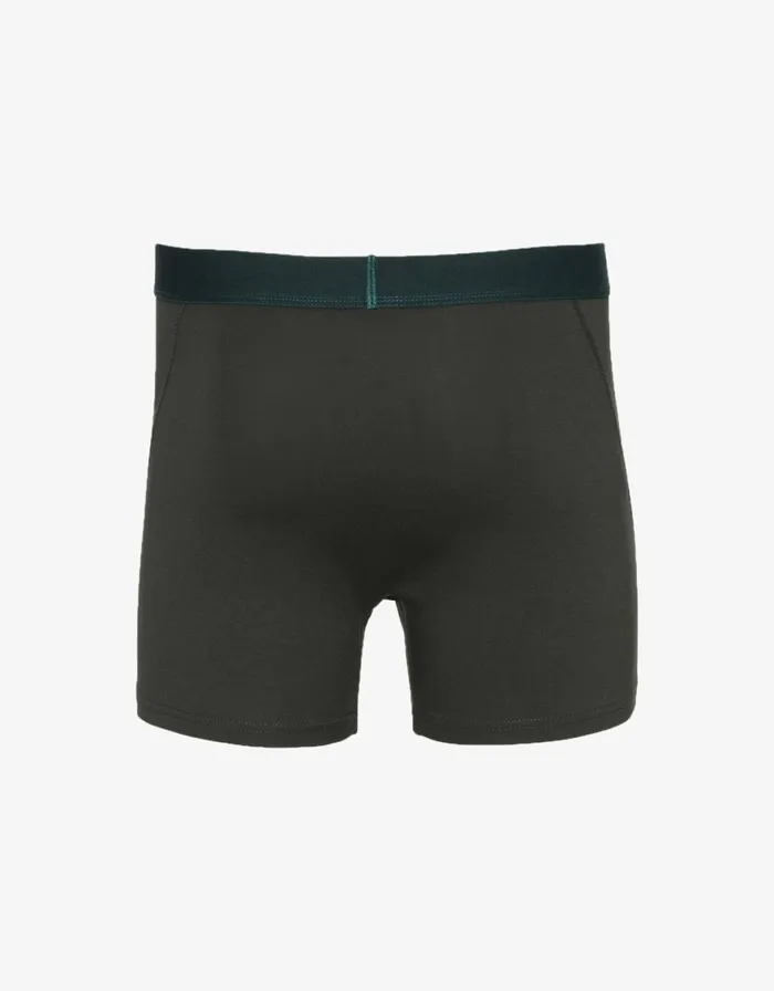 Men Underwear Colorful Standard Classic Organic Boxer Briefs Hunter Green