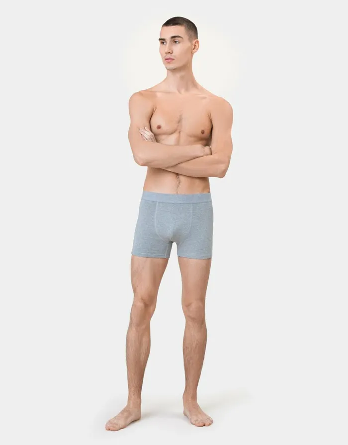Men Underwear Colorful Standard Classic Organic Boxer Briefs Polar Blue