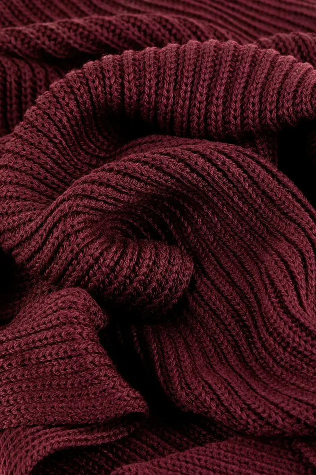 Patrizia Pepe Scarves Ribbed Scarf With Fabric Fringes Purple 8211 Women