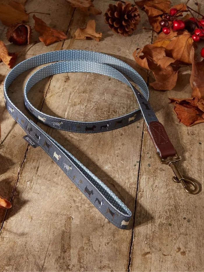 Pet Accessories Fat Face Grey Dogs Medium Lead