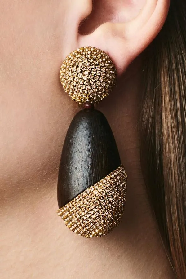 Sachin and Babi Christina Earrings 8211 Wood Crystals Panto Wood and Ice Blue Women Earrings