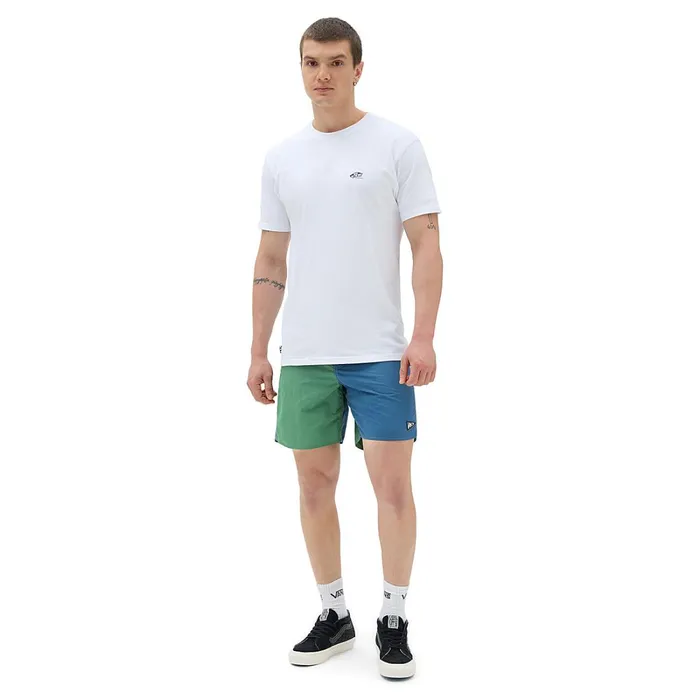 Vans View All Men Pilgrim Blocked 17034 Boardshorts Multicolour