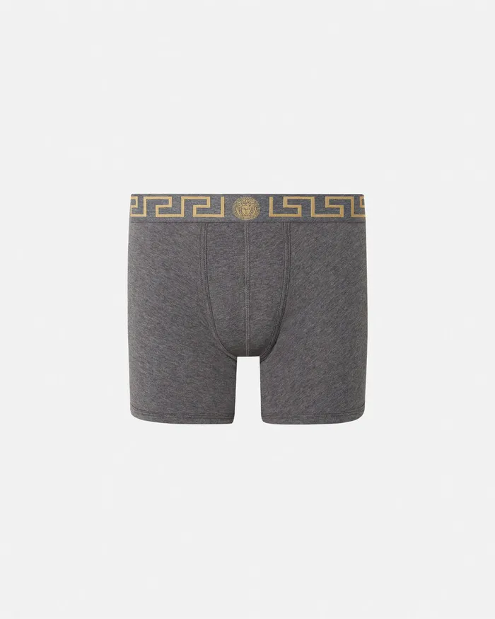 Versace Greca Border Long Trunks Gray Men Boxers