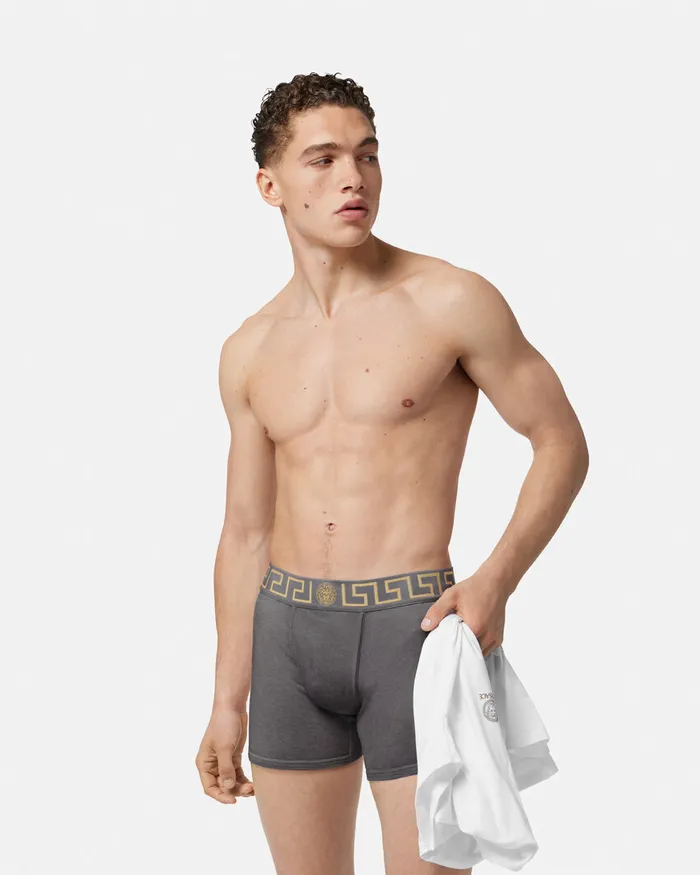 Versace Greca Border Long Trunks Gray Men Boxers