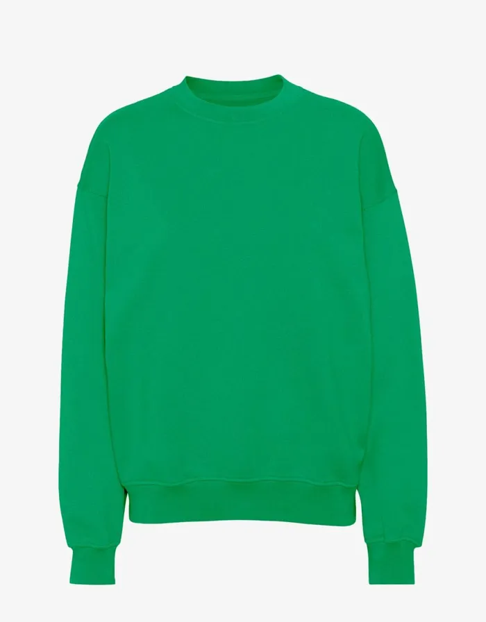 Women Crewneck Sweatshirts Colorful Standard Organic Oversized Crew Kelly Green Women Crewneck Sweatshirts Colorful Standard Organic Oversized Crew Kelly Green