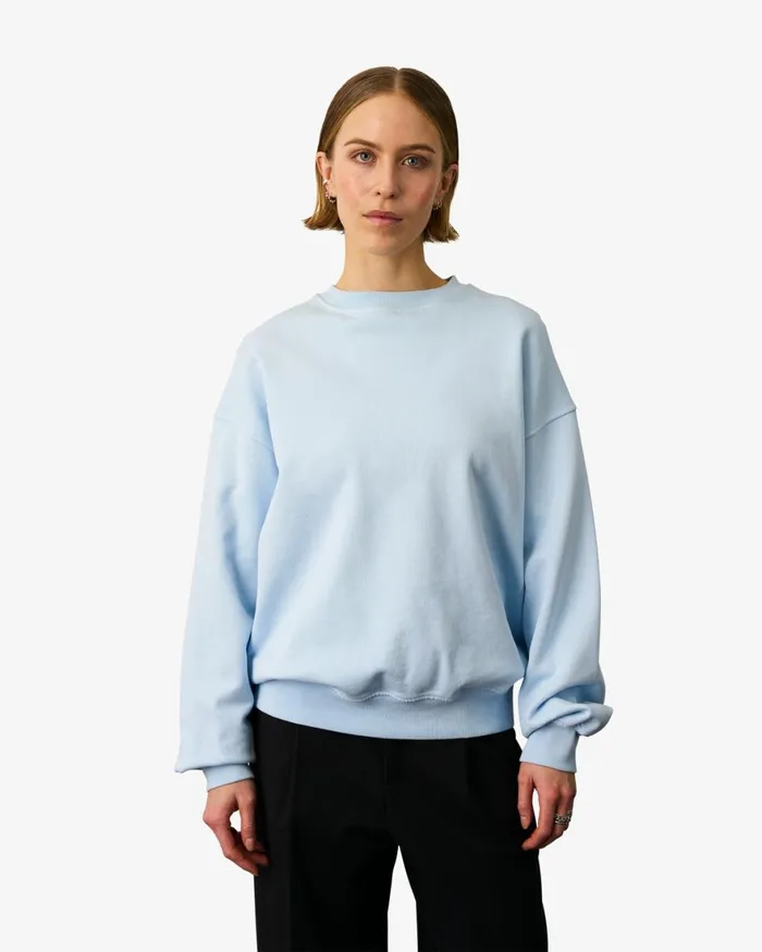 Women Crewneck Sweatshirts Colorful Standard Organic Oversized Crew Misty Brown