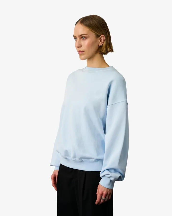 Women Crewneck Sweatshirts Colorful Standard Organic Oversized Crew Misty Brown