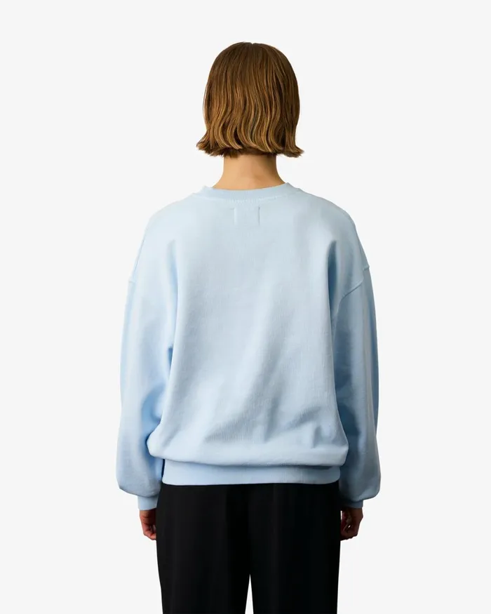 Women Crewneck Sweatshirts Colorful Standard Organic Oversized Crew Misty Brown