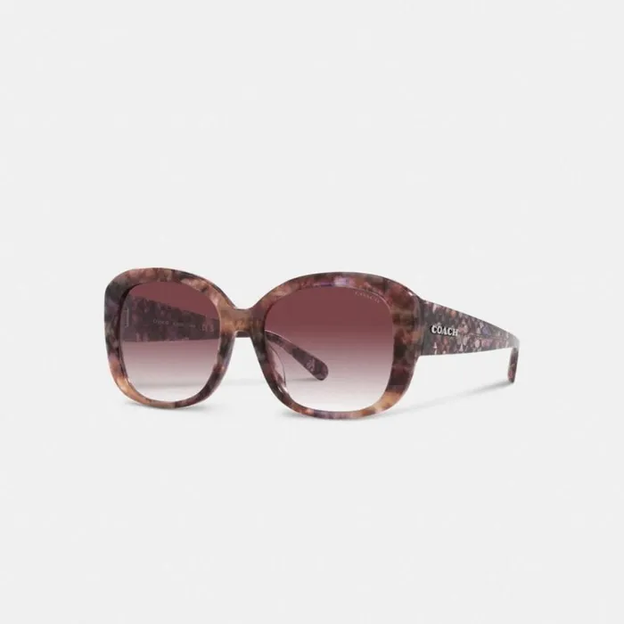 Women Eyewear Coach Signature Oversized Square Sunglasses Purple Tortoise