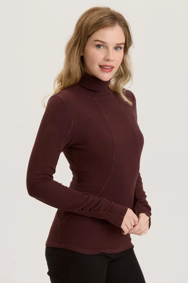 XCVI Rib Sorren Turtleneck Women Tees