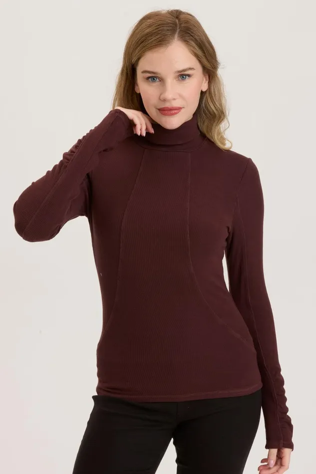 XCVI Rib Sorren Turtleneck Women Tees